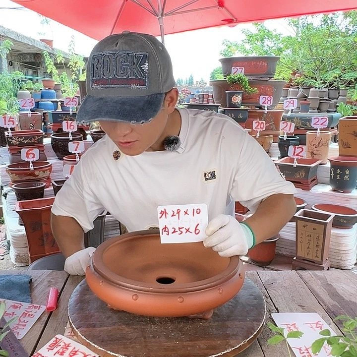 紫砂20CM（含）-50CM（不含）