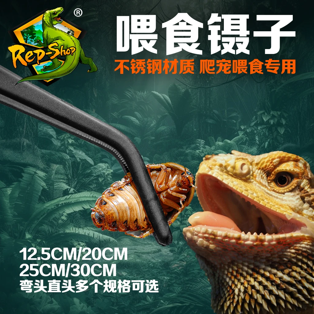 Rep-shop爬虫昆虫蟋蟀乌龟角蛙镊子夹粪便爬宠蜥蜴蜘蛛喂食镊子