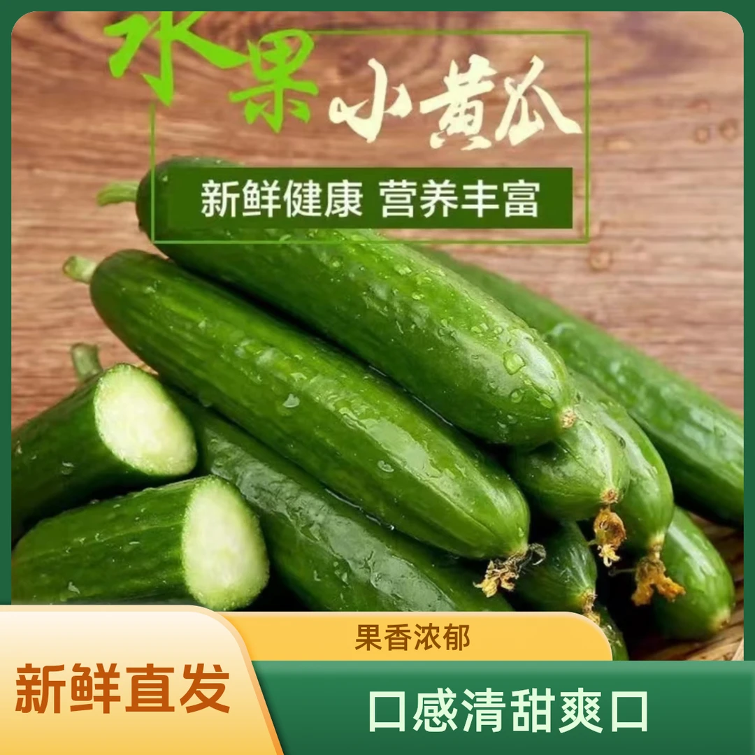 山东寿光特产水果黄瓜新鲜小黄瓜生吃脆嫩清甜爽口无刺产地口感