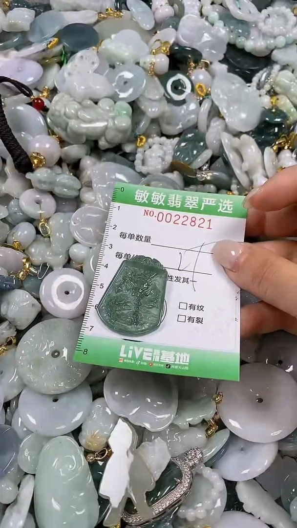 【闪购商品】翡翠颈饰未镶嵌闪购0022821