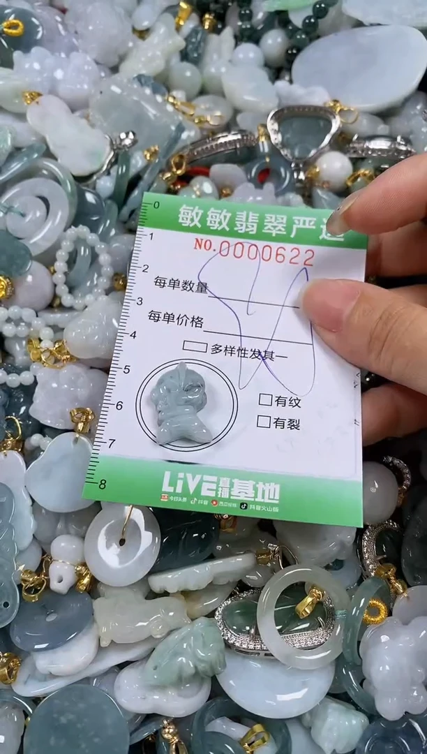 【闪购商品】翡翠颈饰未镶嵌闪购0000622
