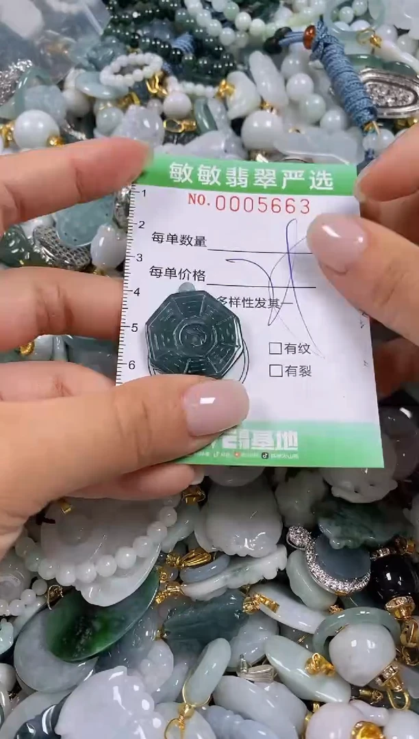 【闪购商品】翡翠颈饰未镶嵌闪购0005663