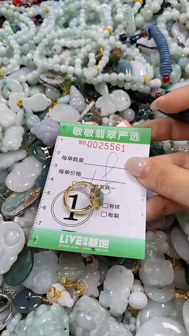 【闪购商品】翡翠颈饰未镶嵌闪购0025561