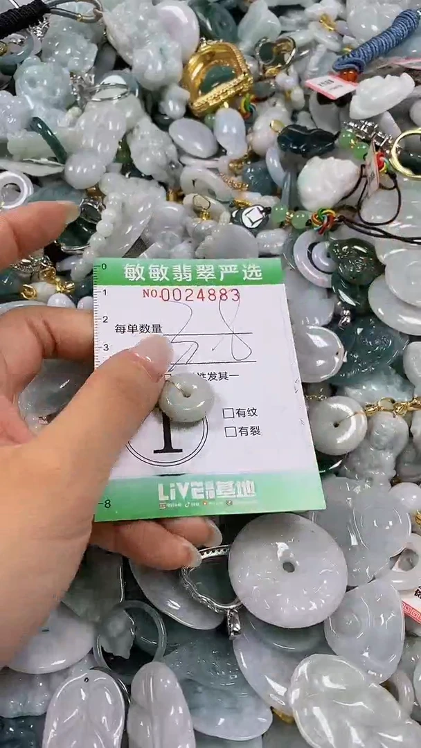 【闪购商品】翡翠颈饰未镶嵌闪购0024883多样性发其一