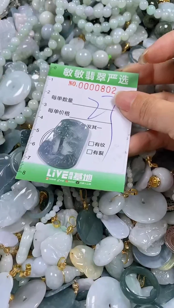 【闪购商品】翡翠颈饰未镶嵌闪购0000802