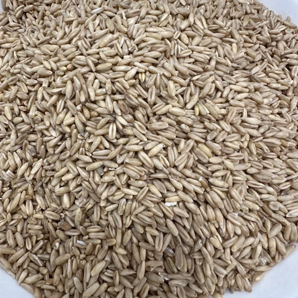 【云货心选】农家燕麦