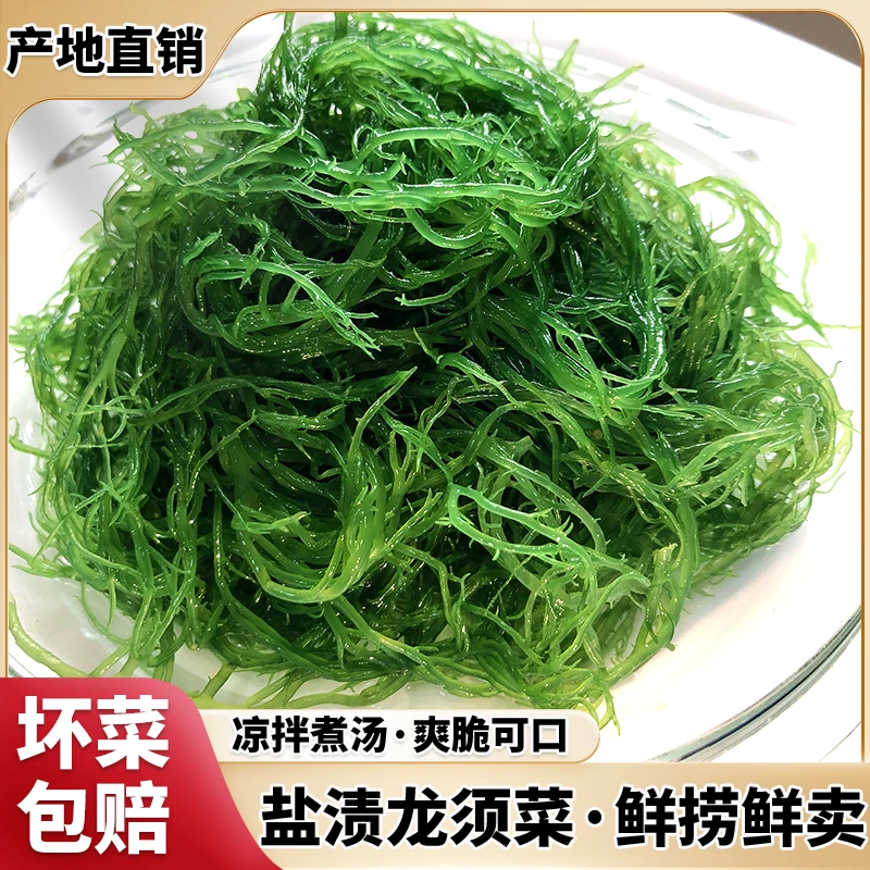 霞浦特产绿色龙须菜海草海藻鹿角菜夏季凉拌菜煮汤火锅食材500g