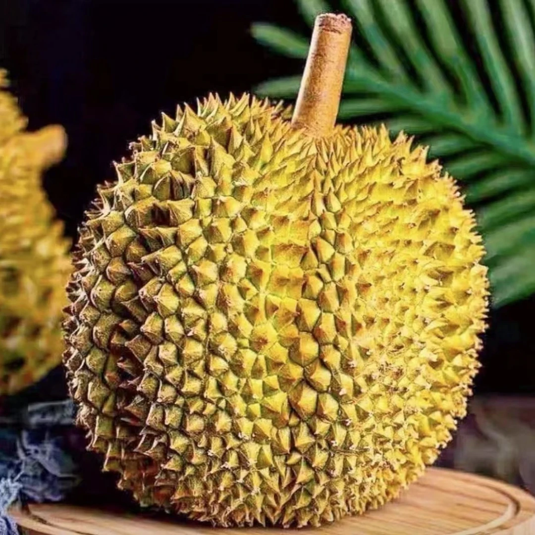 ③金枕新鲜核小榴莲 桂林同城配送【一物一拍.1-5kg】榴莲同城配