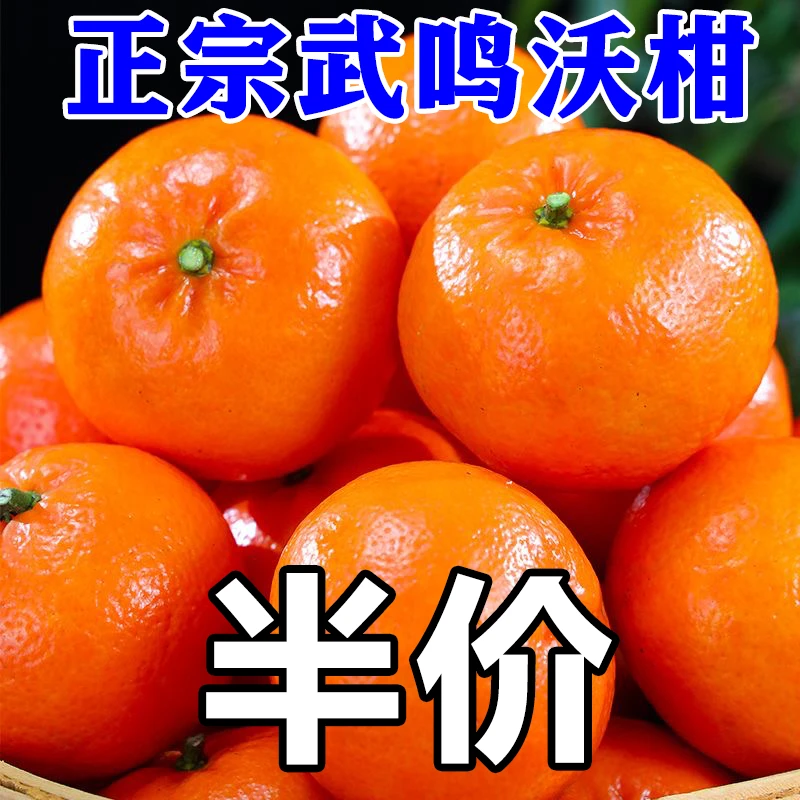 了正宗广西武鸣沃柑纯甜贵妃柑新鲜孕妇采摘清甜沃柑广西正宗超甜