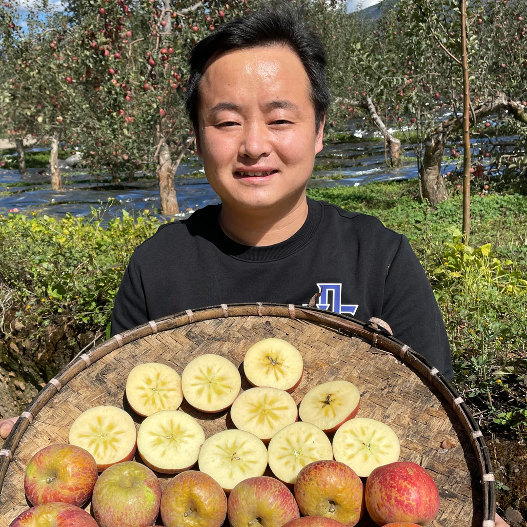 大凉山丑苹果冰糖心丑苹果四川盐源不套袋新鲜采摘脆甜苹果水果