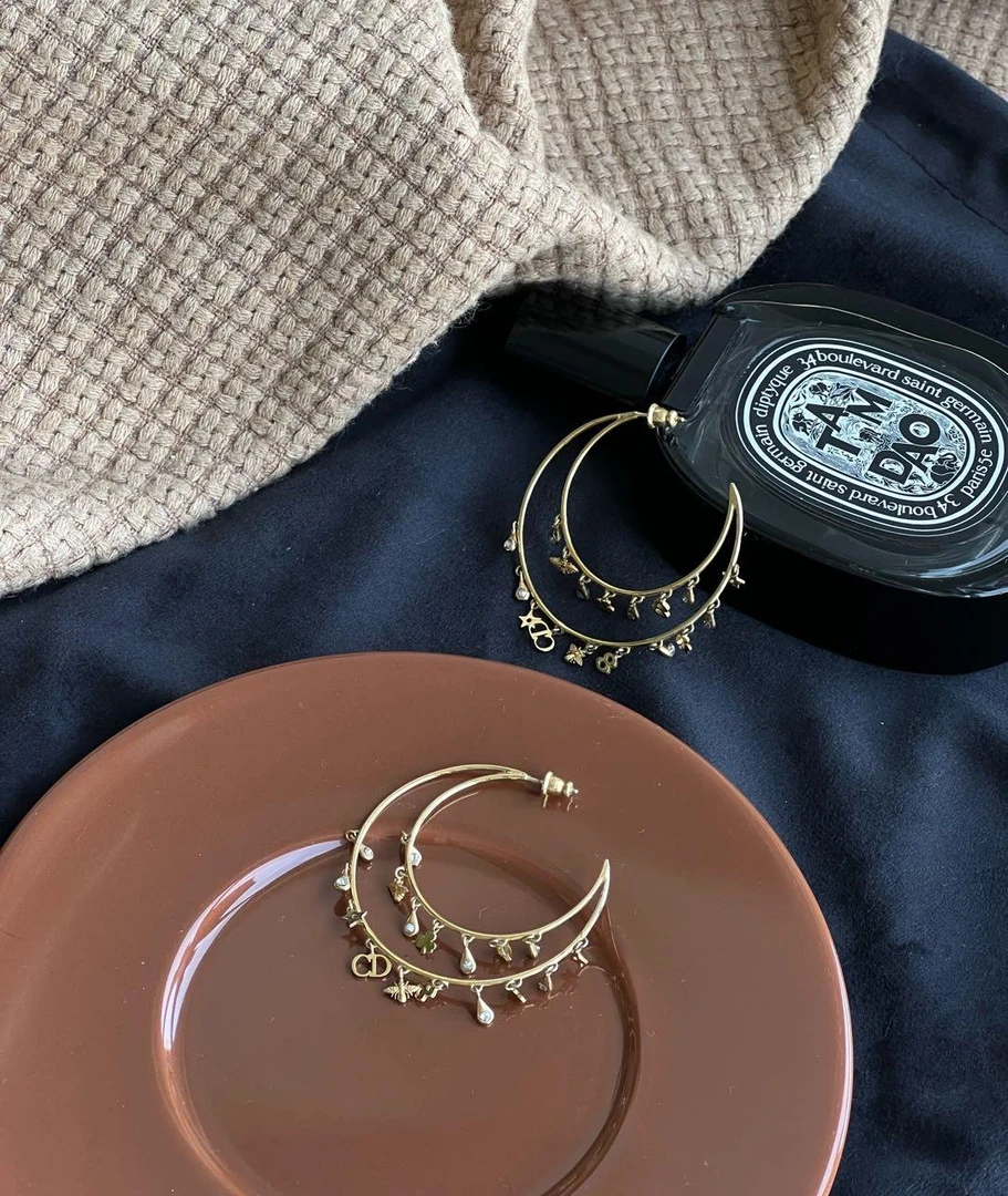 6333 DIOR 圆环多元素耳钉 耳环/耳钉/耳夹
