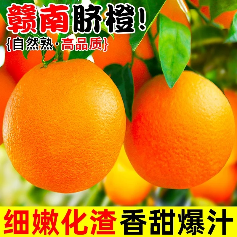 正宗赣南脐橙5斤橙子新鲜江西赣州果冻橙手剥冰糖甜橙应当季水果