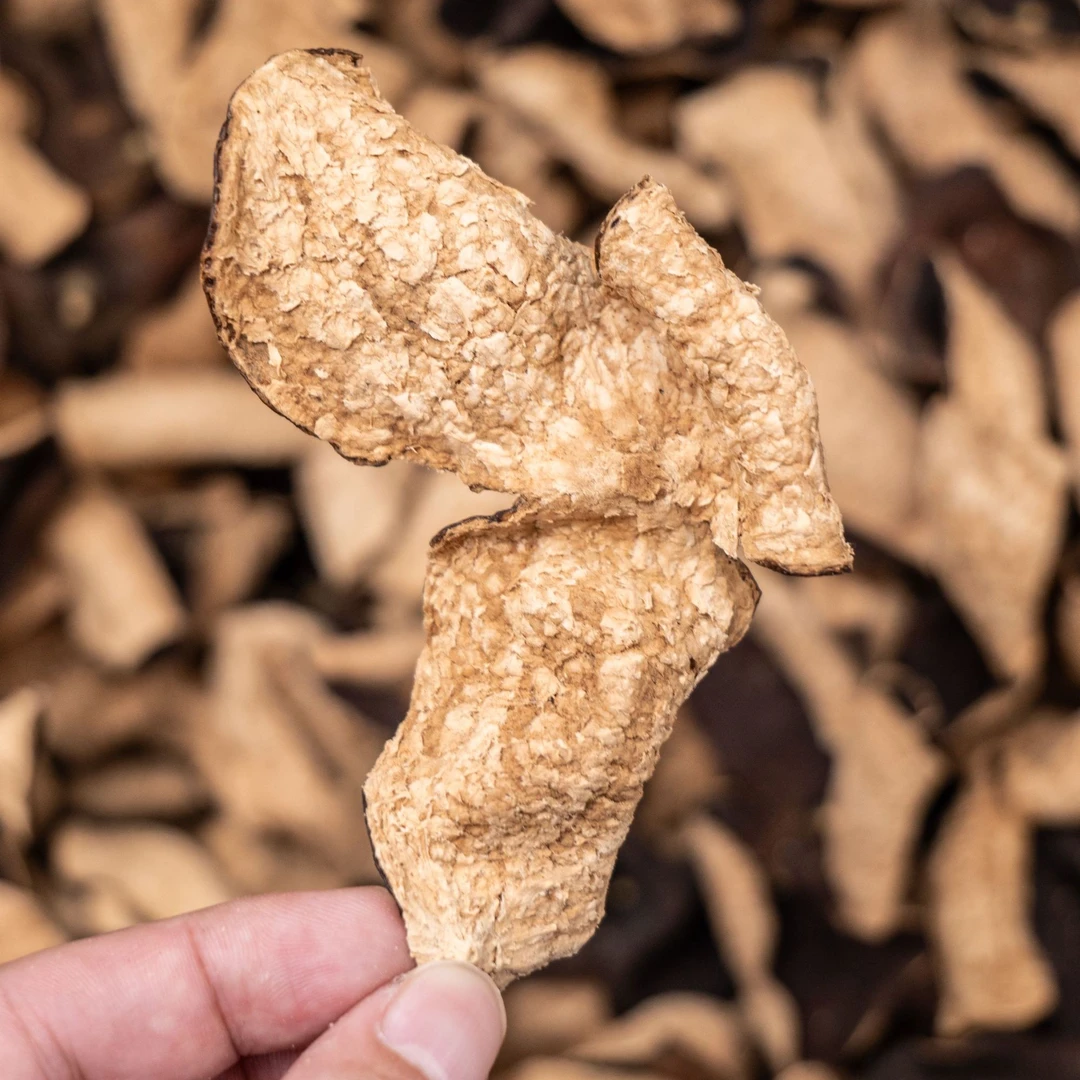 【2019年南坦大红】正宗新会陈皮