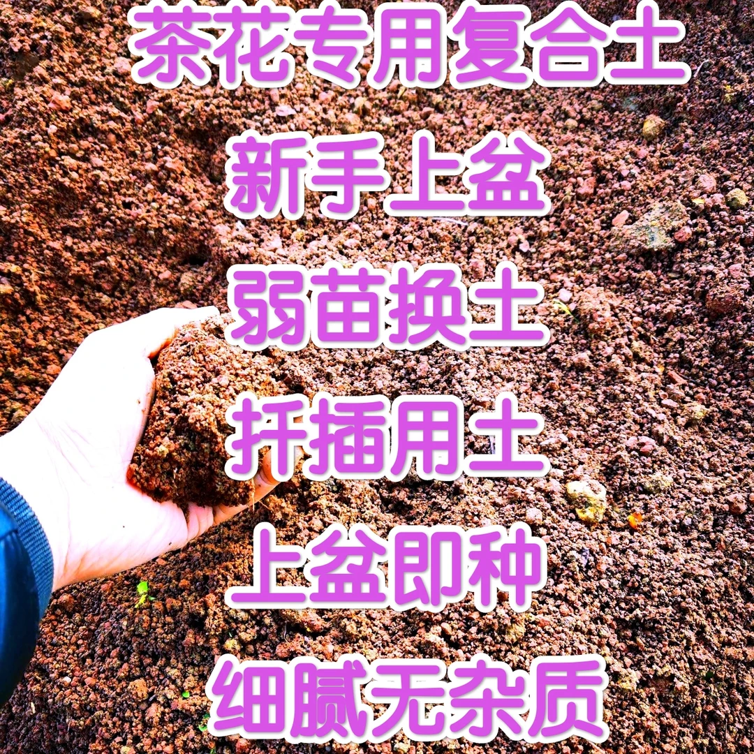 茶花专用弱酸酸性原生态红泥土细腻无杂质复合营养土换盆扦插上盆