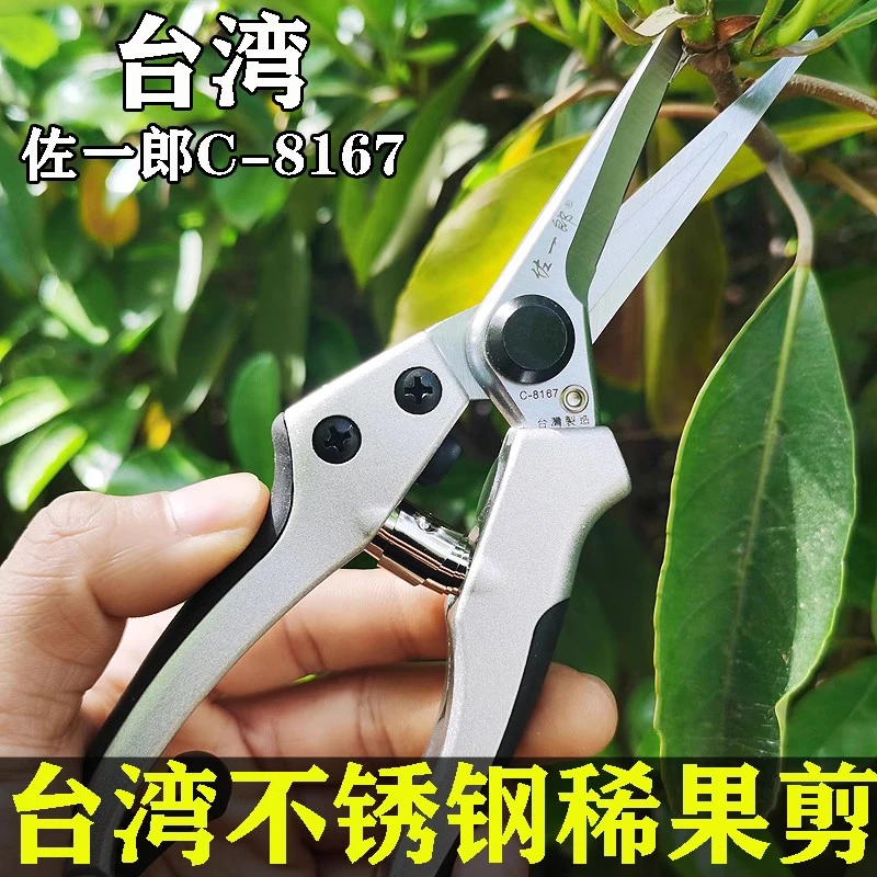 台湾佐一郎8167采果稀果剪刀/疏果剪 剪葡萄花枝多肉盆景修花枝剪