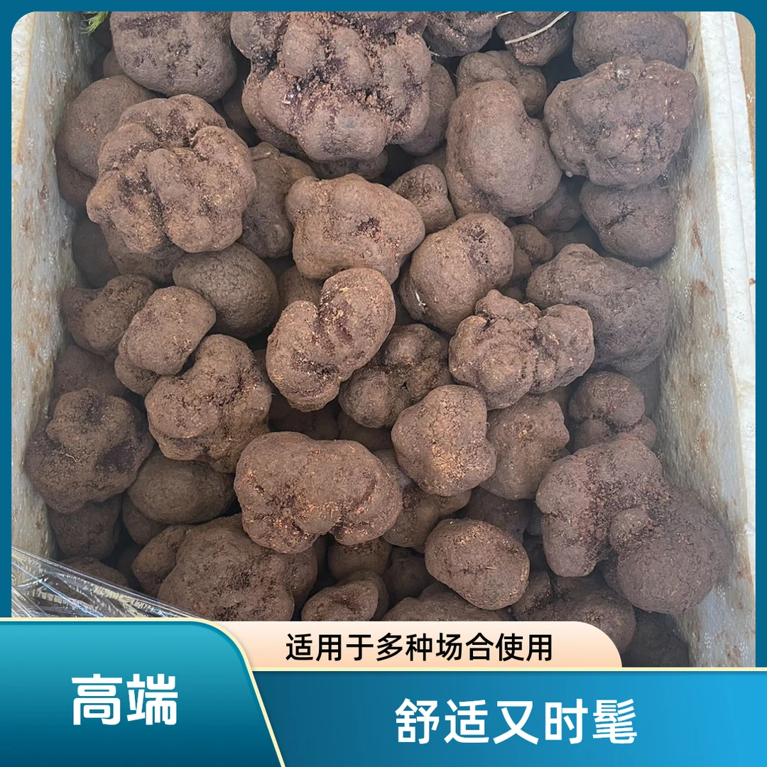 一物一拍云南新鲜野生黑松露