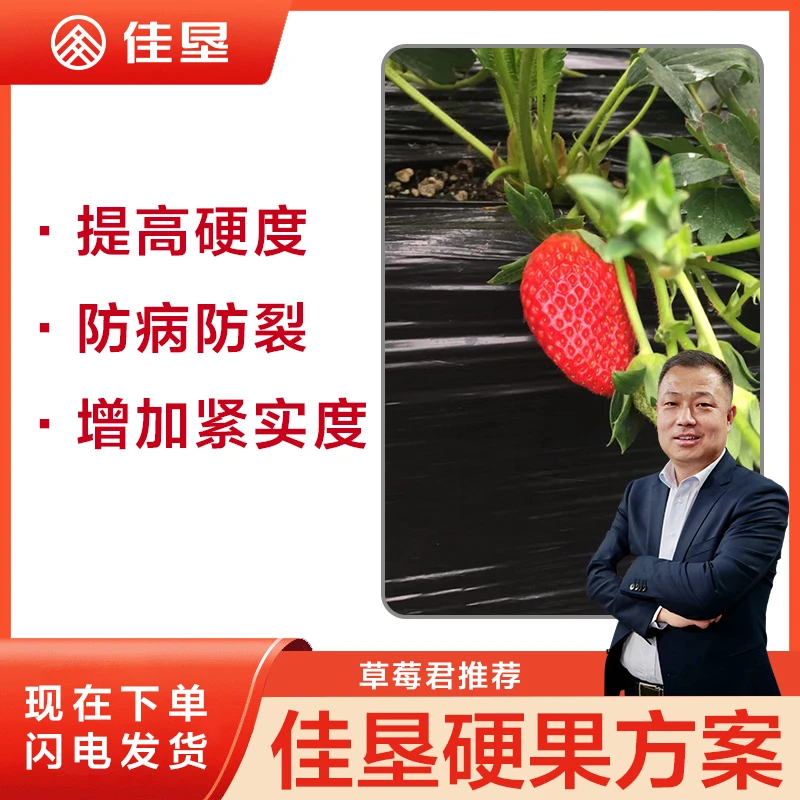 【草莓君推荐-佳垦钙镁同补方案】盖益美补钙靓果增加硬度防裂草莓