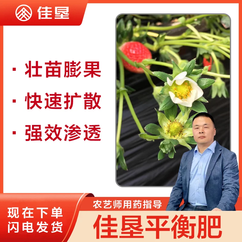 【佳垦平衡肥】壮苗膨果快速扩散强效渗透强力生根松土透气生根全养