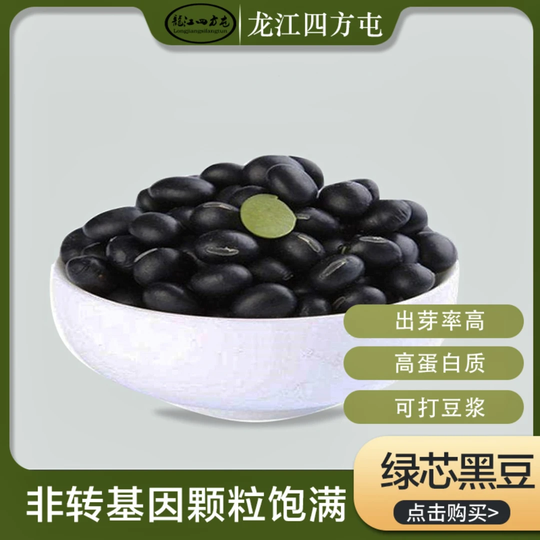 龙江四方屯黑豆绿芯颗粒饱满 非转基因