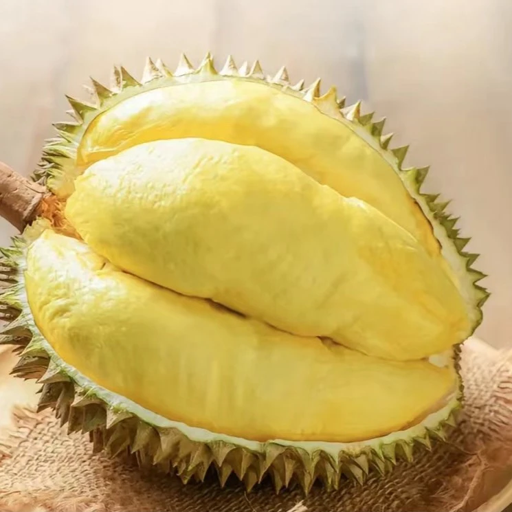 金枕树熟榴莲A果(一物一拍)