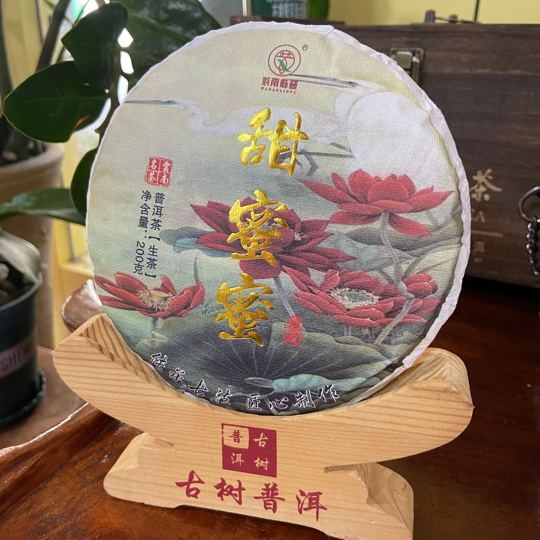 【乡村助农】沧源县永丙老寨原始森林荒山古树茶5
