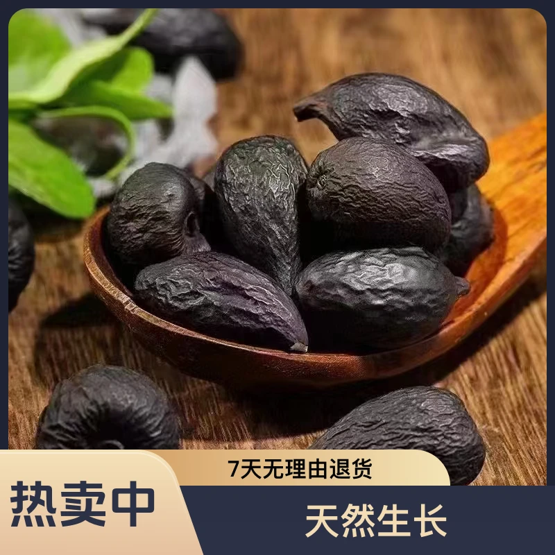 道地山货乌灵参(雷震子）黑柄碳角菌