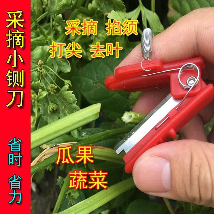 新疆包邮 手指采摘戒指刀摘菜器小铡刀摘豆角葡萄掐须打尖摘果器