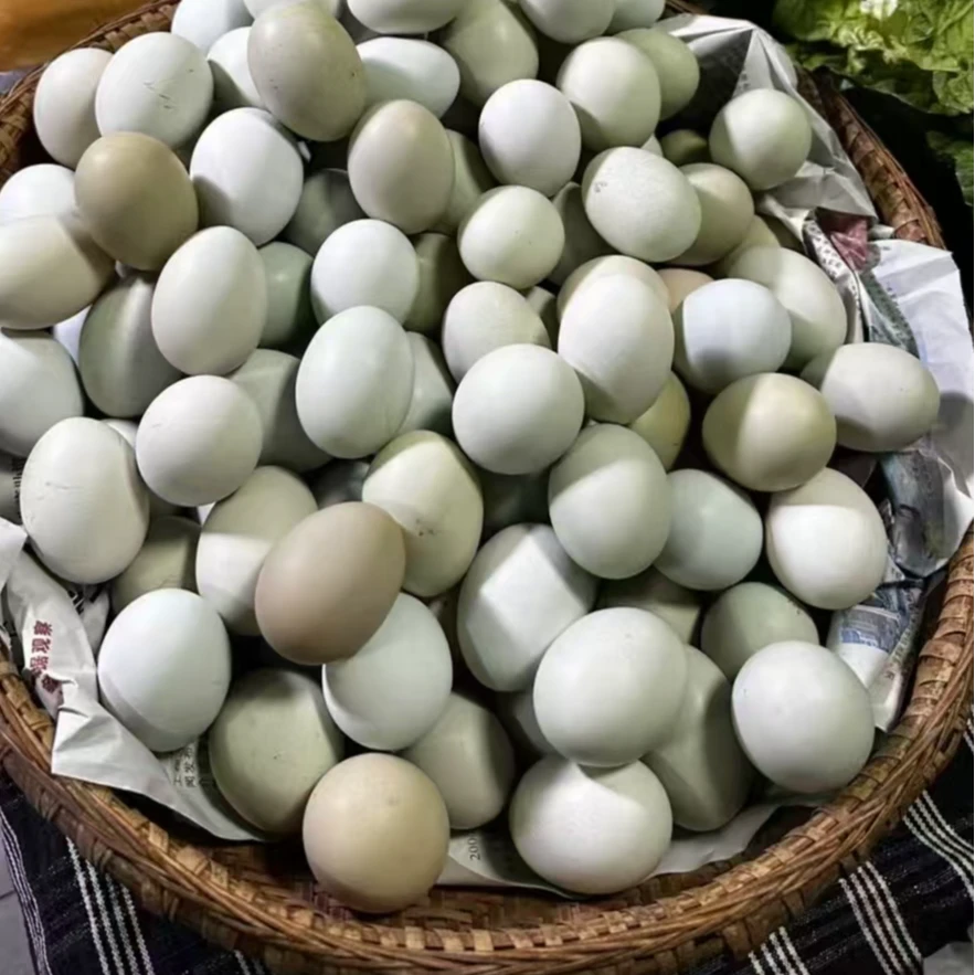 新鲜农户散养绿壳鸡蛋30个(顺丰包邮鸸鹋蛋)