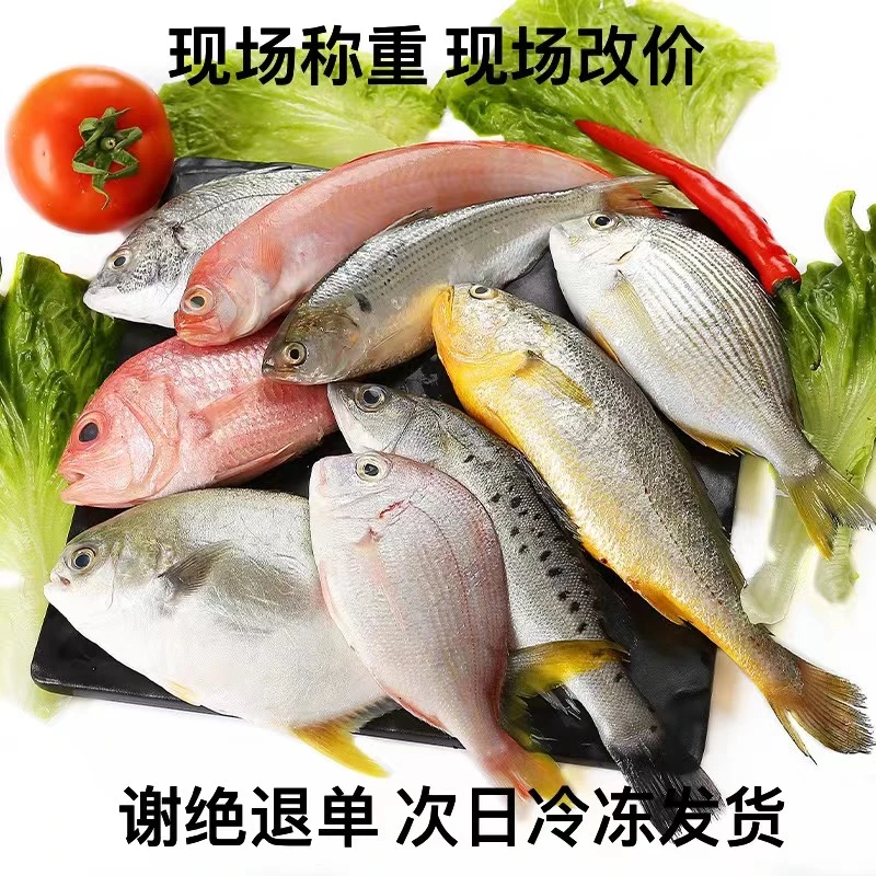 《直播间1号链接》东海野生海鲜现场指定海鲜套餐1500g起食用新鲜