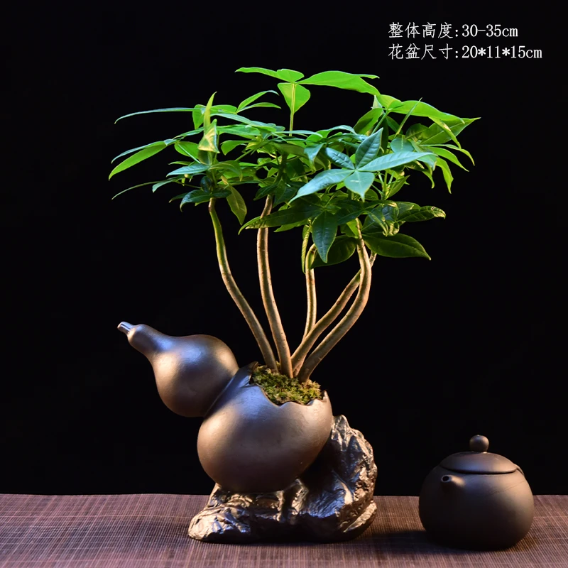 葫芦发财树~寓意五福临门