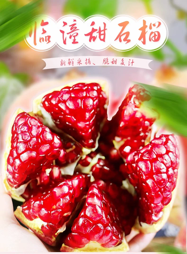 （顺丰包邮）9斤正宗临潼石榴硬籽石榴（坏果包赔）产地直发新鲜水果