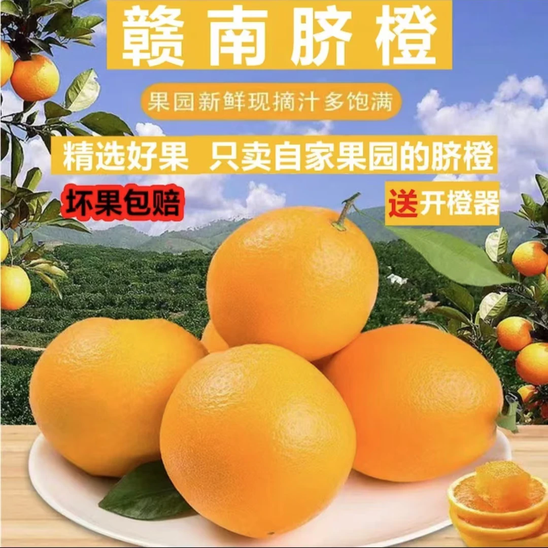 现摘江西赣南脐橙橙水果现发脆甜多汁皮薄送开果器