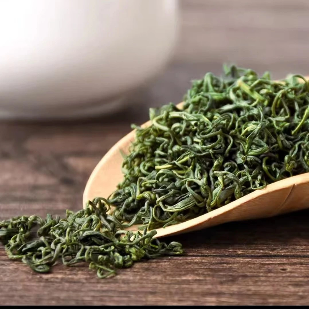 2023新茶清香回甘春茶高山绿茶香茶嫩芽嫩叶250g/500g袋装