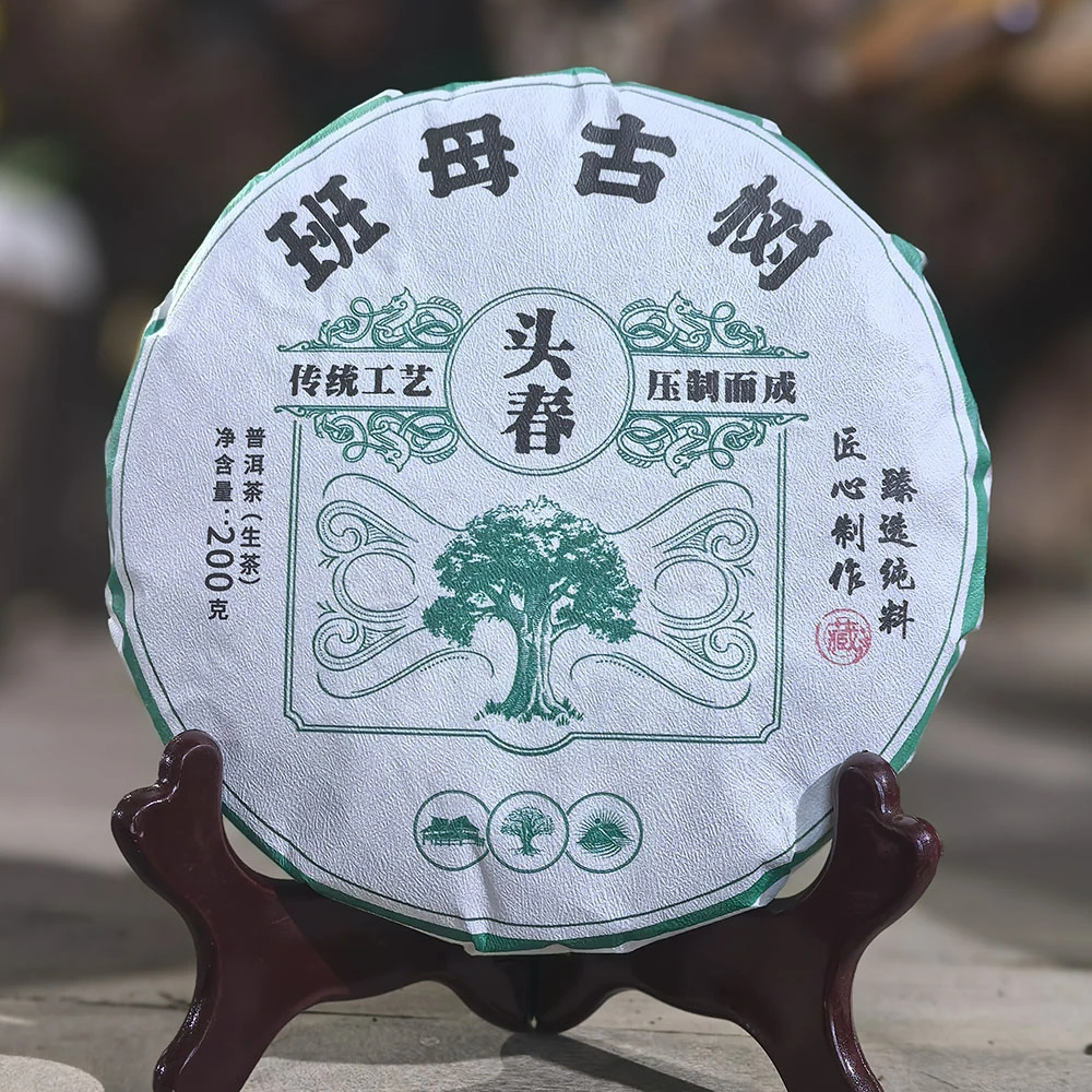 2024年头春班母古树普洱茶生茶古树茶200克饼茶叶