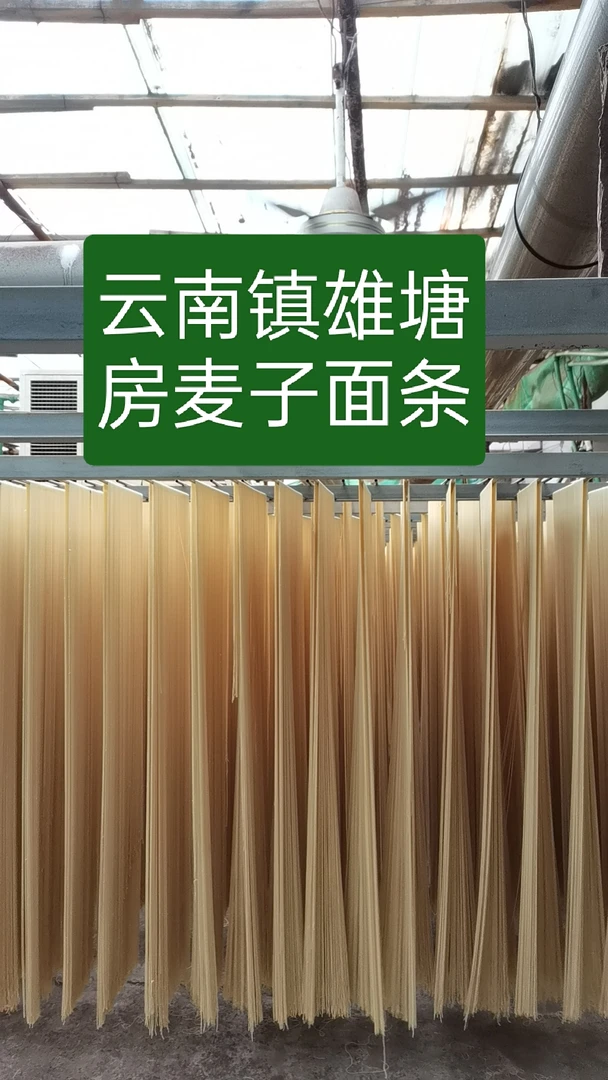 云南特产镇雄塘房碱水面条正宗农家纯手工全麦面条云南镇雄碱水面