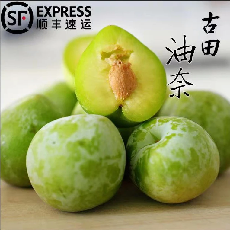 【顺丰包邮】正宗古田油奈新鲜现摘奈李子脆甜孕妇水果4.5斤