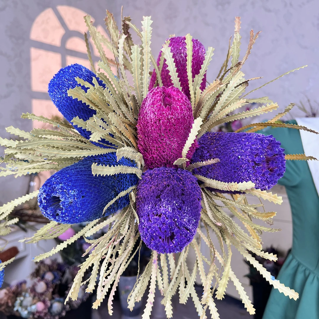 【细叶毛绒】6支彩色班克木顺丰包邮 南非进口花 澳洲毛绒佛塔