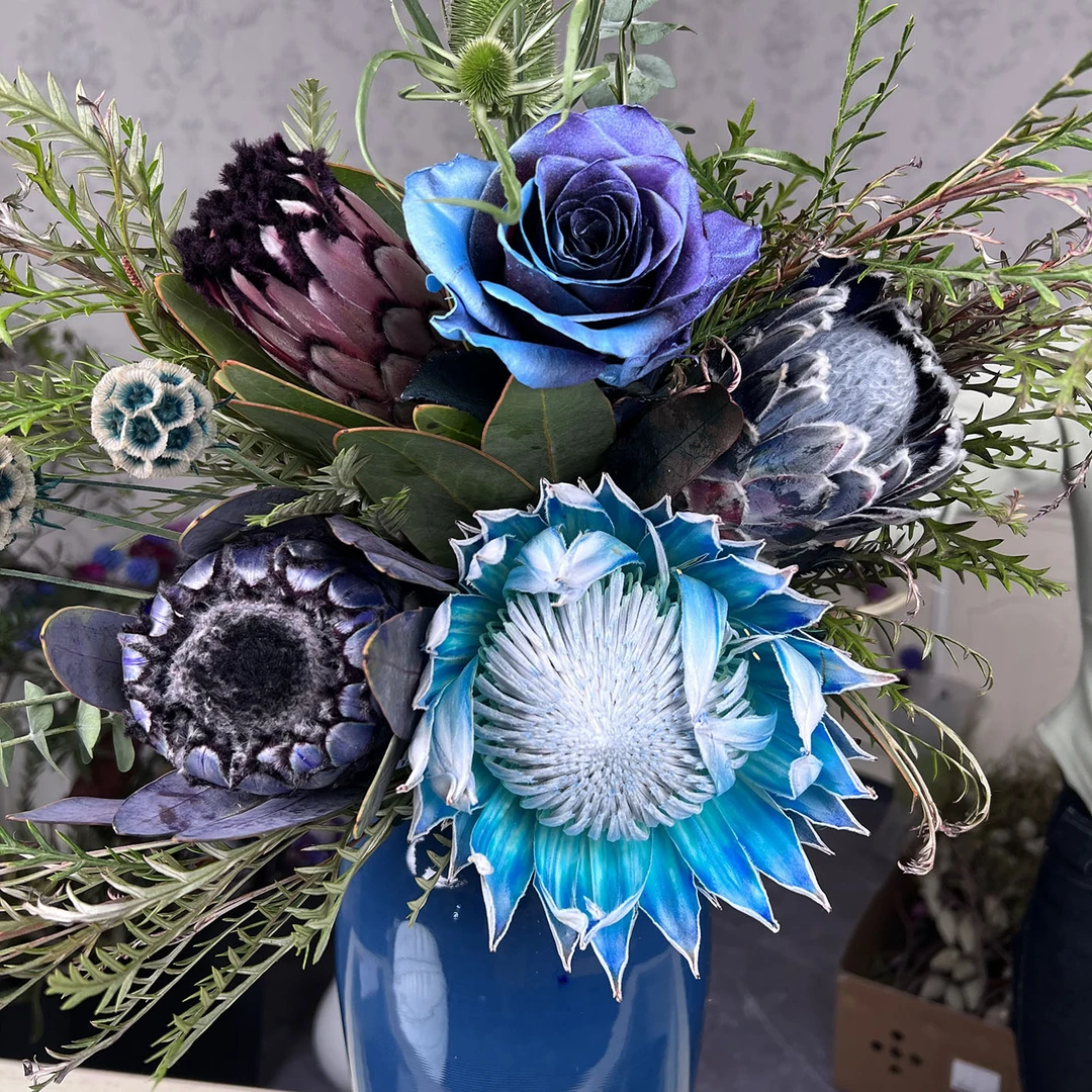 【天空】南非进口花束 帝王公主皇后花