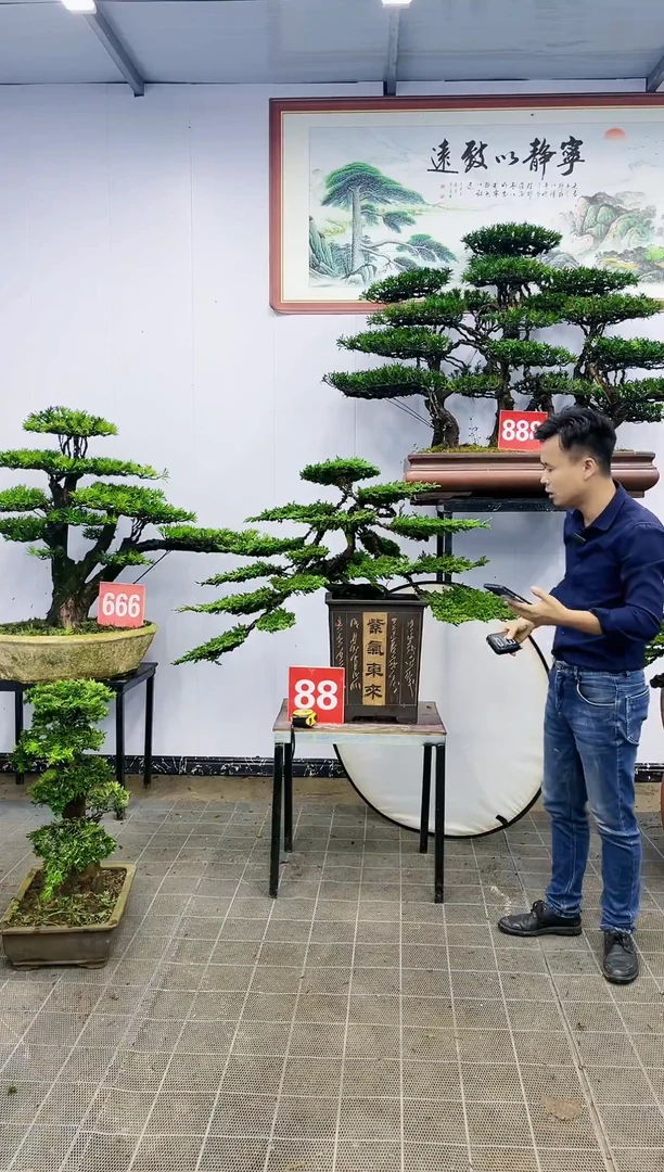 【闪购商品】一物一拍，所见即所得