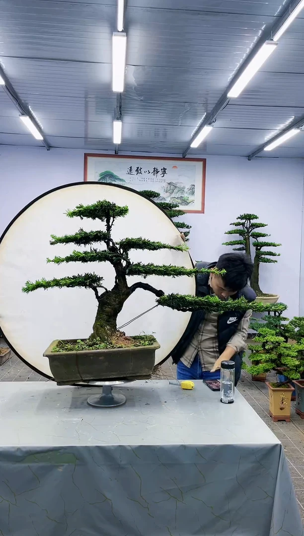 【闪购商品】一物一拍，所见即所得