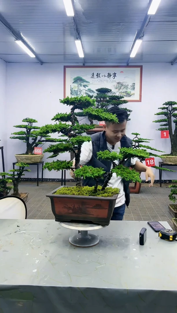 【闪购商品】一物一拍，所见即所得