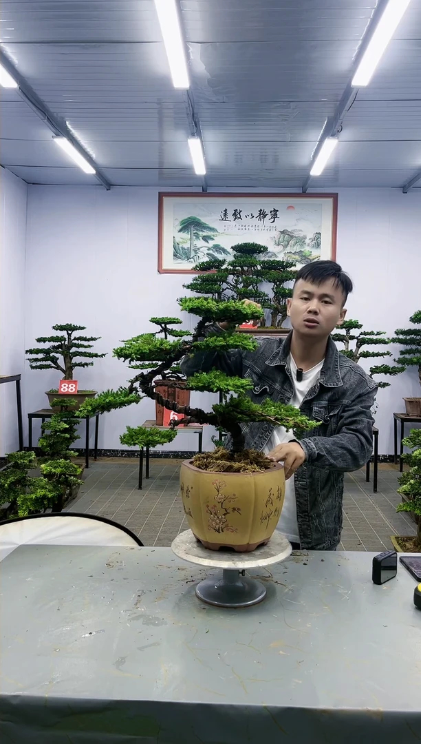 【闪购商品】一物一拍,所见即所得