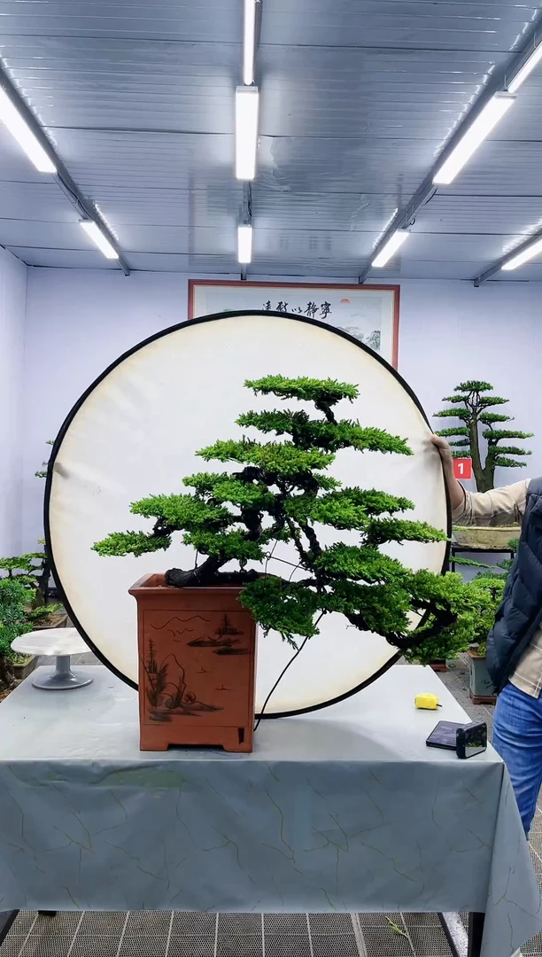 【闪购商品】一物一拍,所见即所得
