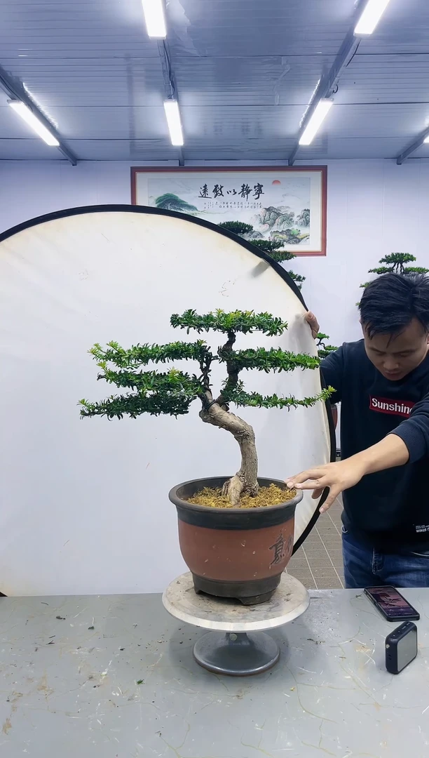 【闪购商品】一物一拍,所见即所得