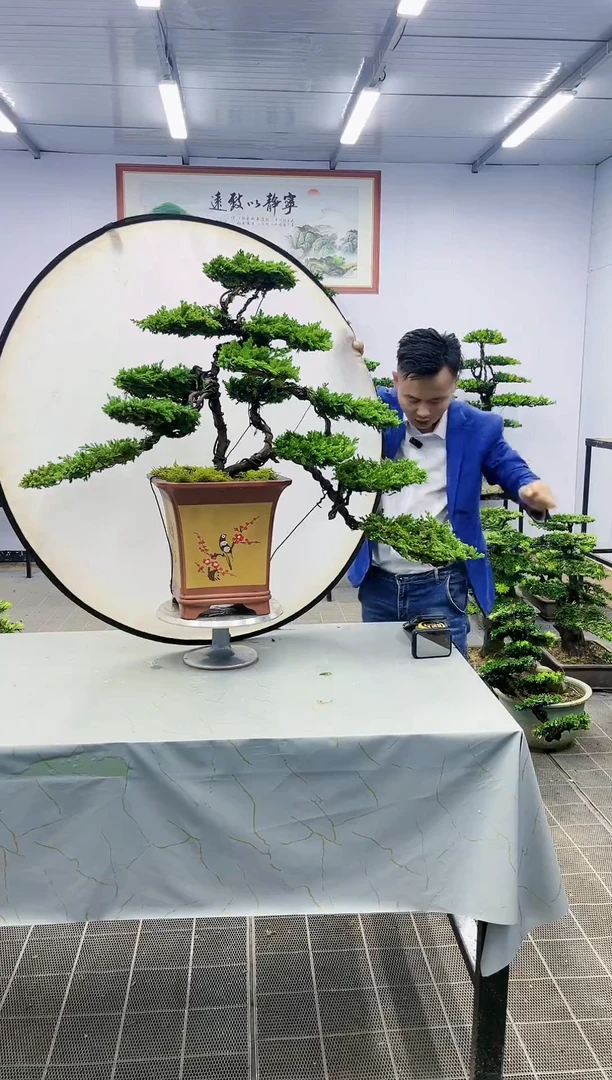 【闪购商品】一物一拍，所见即所得