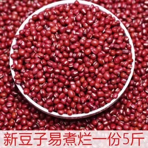 【新红豆】2斤新货红豆杂粮长粒赤豆红豆薏米粥农家自产红小豆