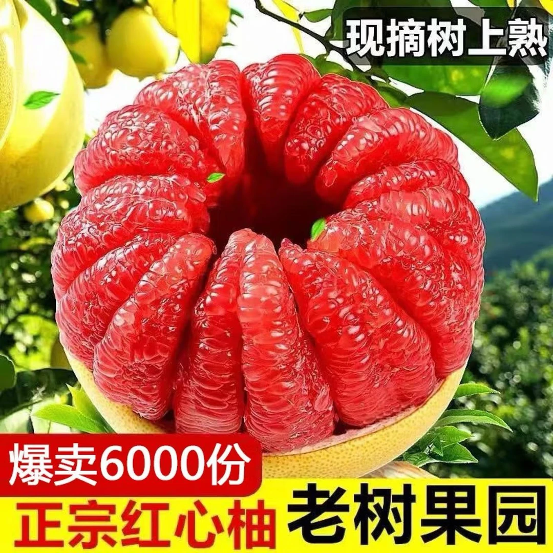 福建平和琯溪红心柚子三红蜜柚新鲜水果漳州管溪当季