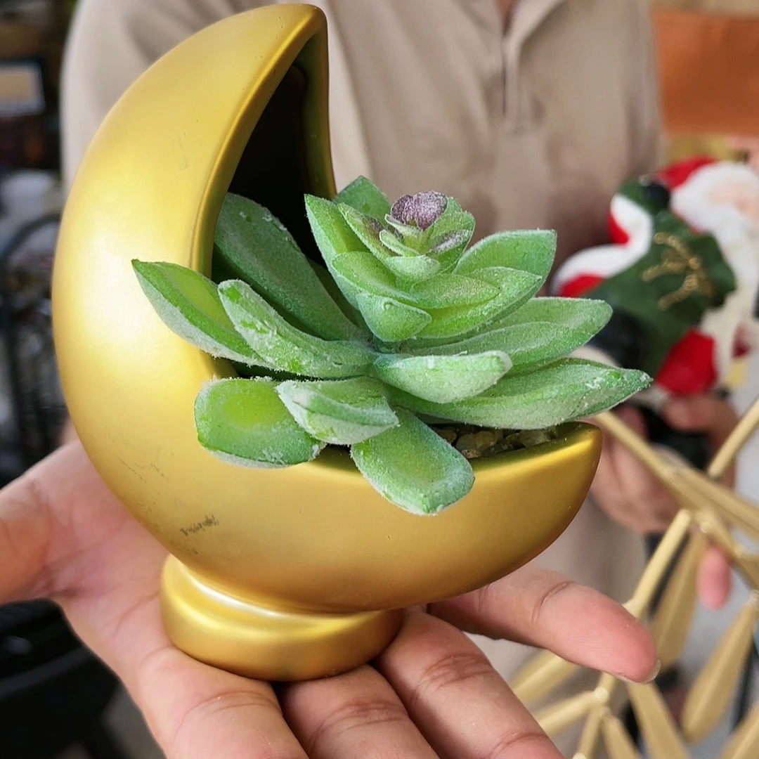 红陶20CM（含）-50CM（不含）