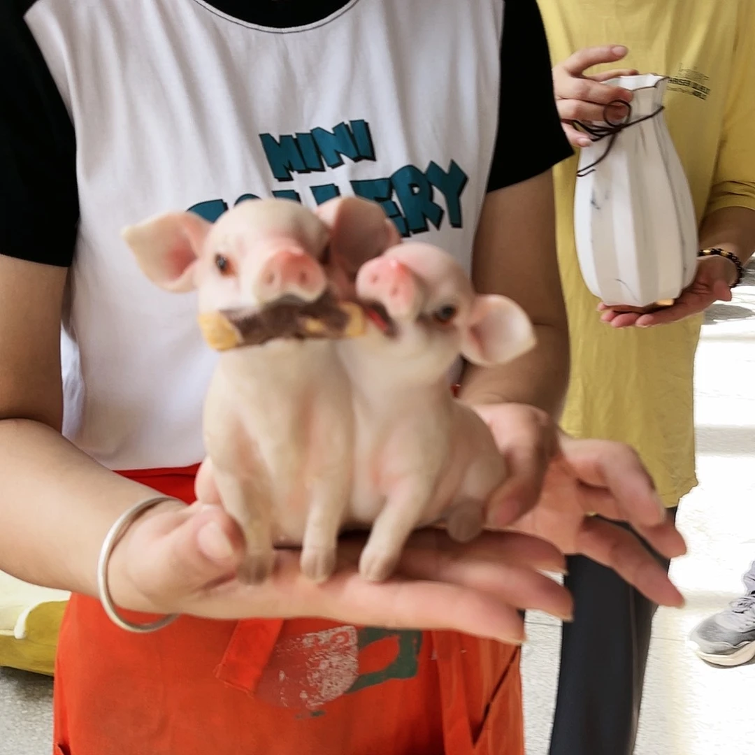 红陶20CM(含)-50CM(不含)