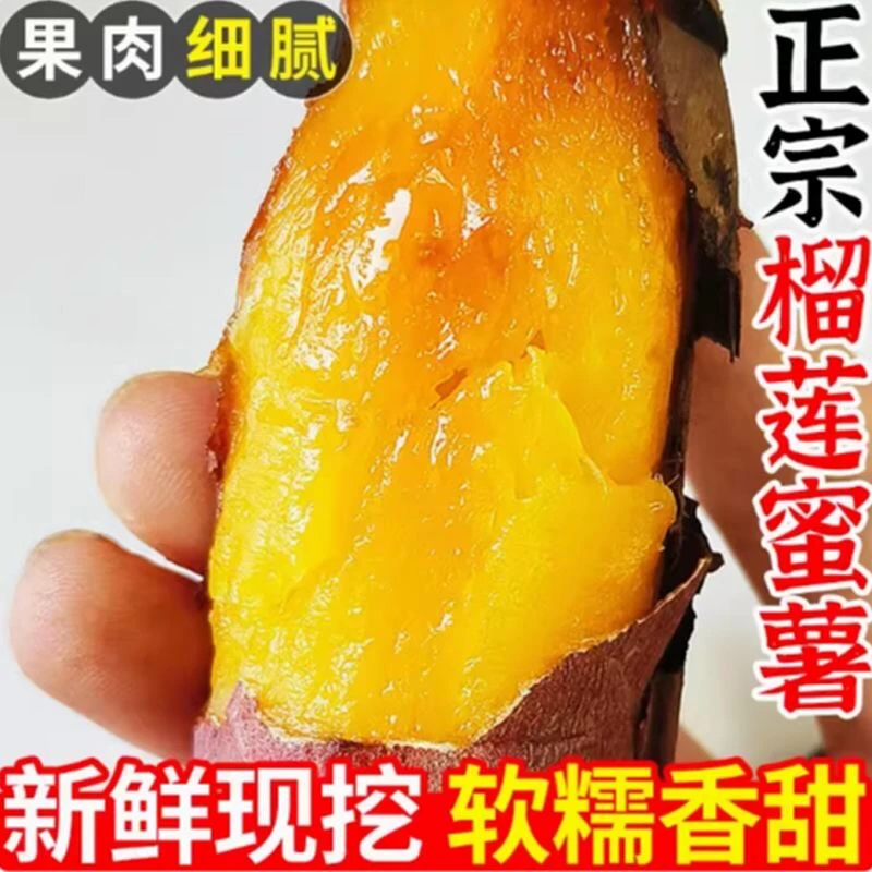 正宗榴莲蜜薯新鲜红薯火山黄金沙地地瓜玛莎糖心香甜黄心番薯山芋
